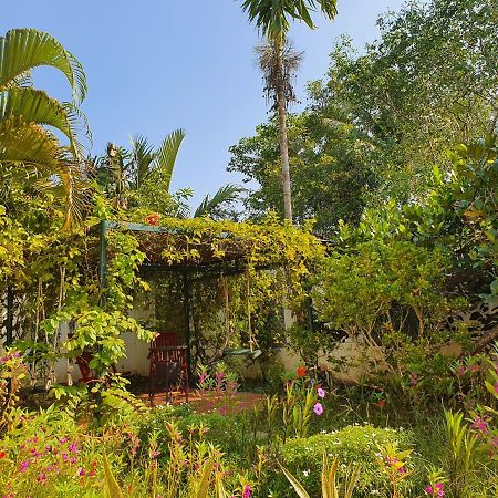 Villa My Long Cần Thơ Extérieur photo